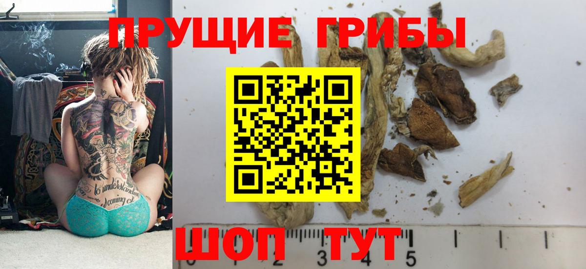 Галлюциногенные грибы прущие грибы Сызрань
